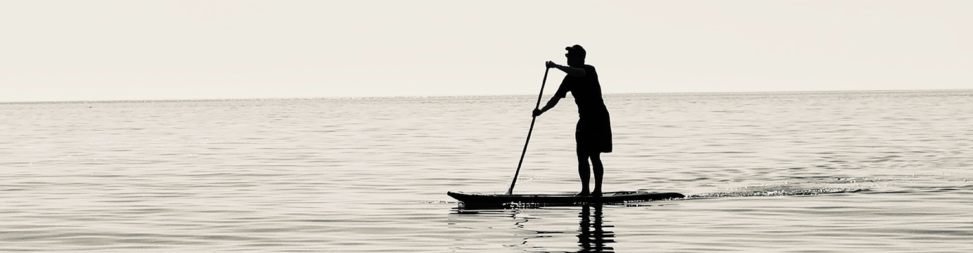 Paddles