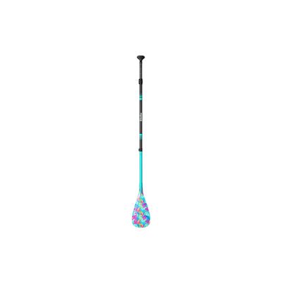   Geo - Paddle